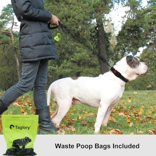 Taglory Rope Dog Leash for Medium Large Dogs, 4 FT Padded Handle, Black