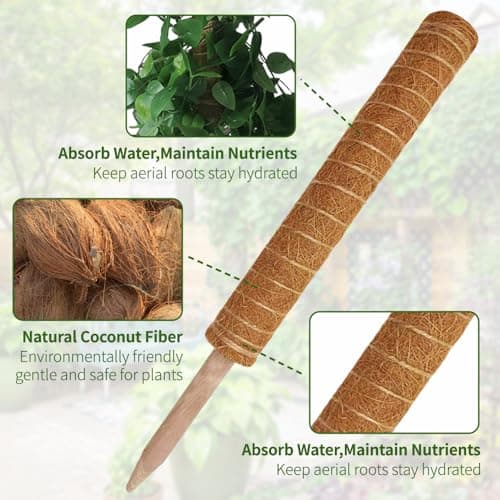 Moss Pole Monstera Plant Support, 5 Pack