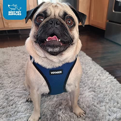 Best Pet Supplies Voyager All Weather No Pull Step-in Mesh Dog Harness with Padded Vest, Best Pet Supplies, Medium, Blue Base — view 10