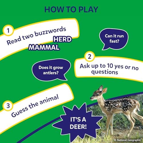 Skillmatics Guess in 10 National Geographic Animals, Educational Card Game for Kids & Families, Animal Trivia & Travel Game, Screen-Free Fun, Gifts for Ages 6, 7, 8, 9 and Up — view 3