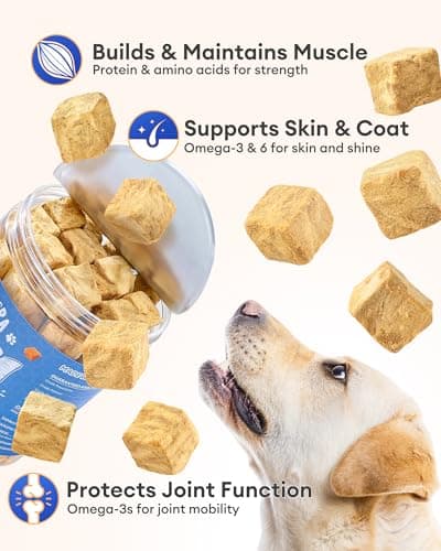 Pawaura Freeze Dried Salmon Dog Treats – 100% Wild-Caught, Whole-Cut Large Pieces – High-Protein, Low-Calorie, Omega-5 for Skin & Coat – Grain-Free, All-Natural – for All Dogs(4oz) — view 5