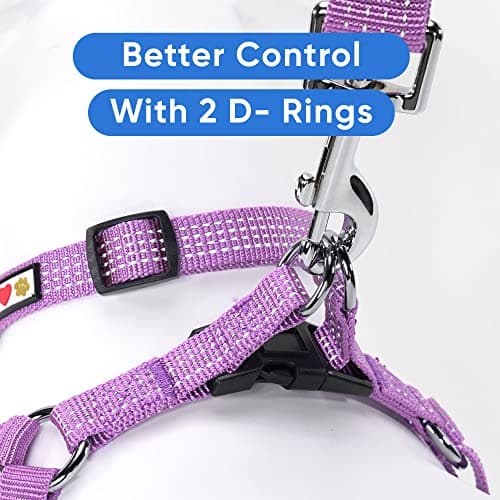 Pawtitas Reflective Step-in Dog Harness – Adjustable No-Pull Vest for Puppies to Seniors, Safe & Comfortable, S Orchid — view 4