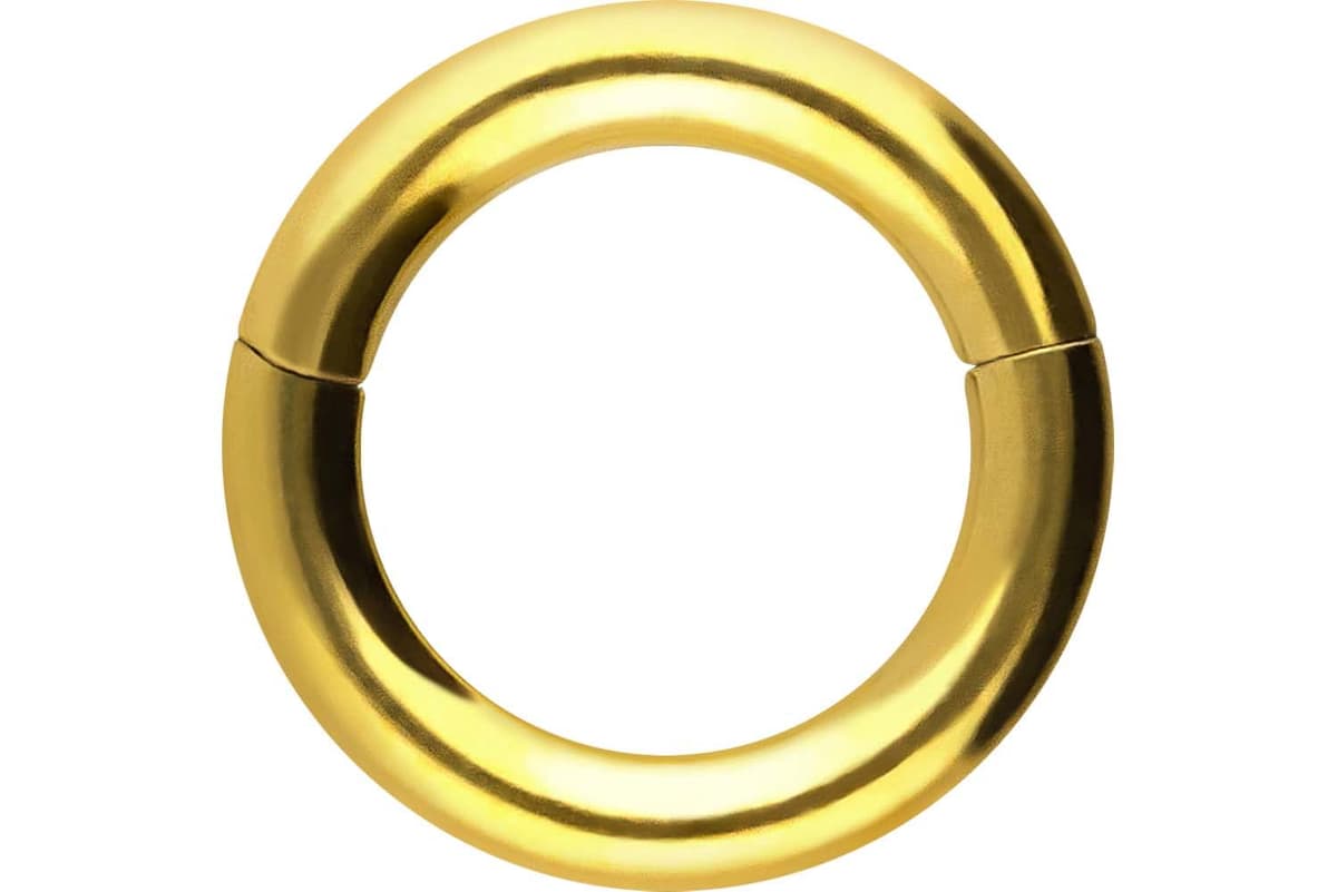 PIERCINGLINE Anillo segmento Clicker de acero quirúrgico – Piercing en oro, plata, rosa, negro o azul – para nariz, tabique, oreja, hélice o tragus — view 49