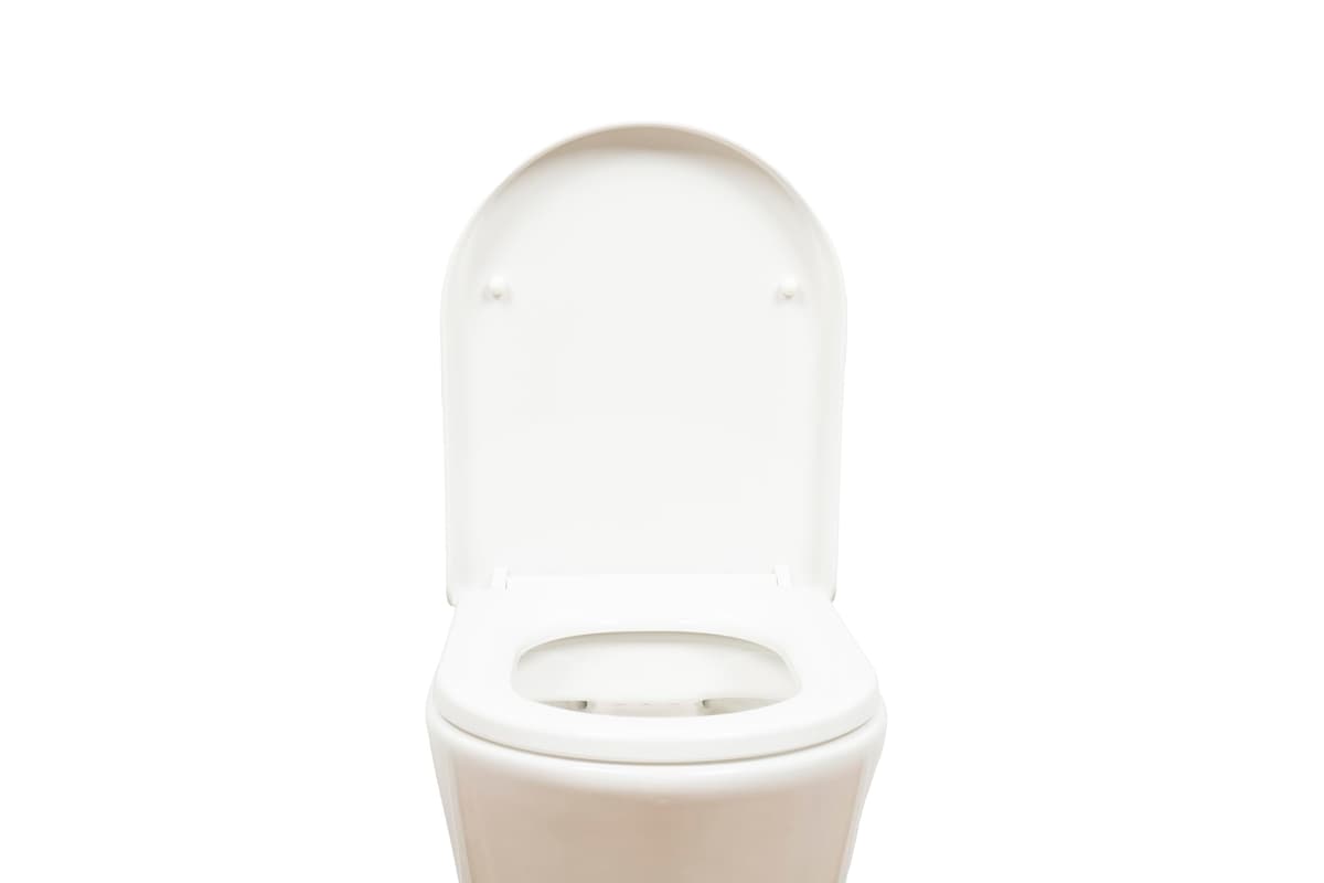 AQUALONA® Premium Thermoplastic Toilet Seat Soft Close Hardwearing Seat with Two Button Hinge Release D Shaped Easy to Clean Simple Installation Top and Bottom Fittings (White - D Shape) — view 7