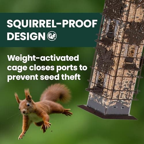 Perky-Pet 336-1SR Squirrel-Be-Gone Bird Feeder, 2LB Squirrel Proof Outdoor Wild Bird Feeder with Weight-Activated Perches