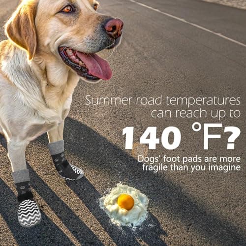 EXPAWLORER 6Pcs Anti Slip Dog Socks to Prevent Licking Paws, Dog Shoes for Hot Pavement Double Sides Dog Boots & Paw Protectors Booties for Hardwood Floors with Grippers Small Medium Large Senior Dogs — view 2