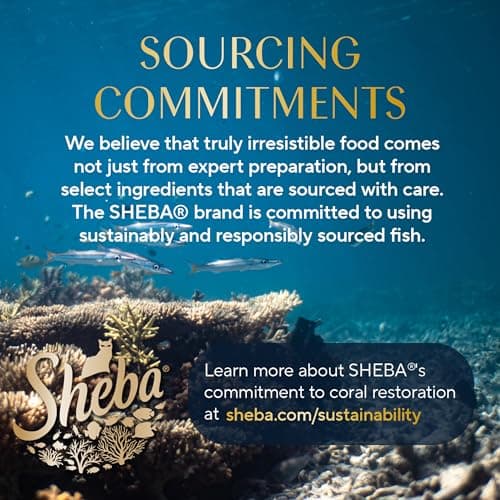 Sheba Perfect Portions Wet Cat Food Cuts in Gravy, Cat Food Wet Recipe, with Sustainable Tuna, Roasted Chicken Entree, 2.6 oz. Twin-Pack Trays (6 Count, 12 Servings) (Pack of 2) — view 10
