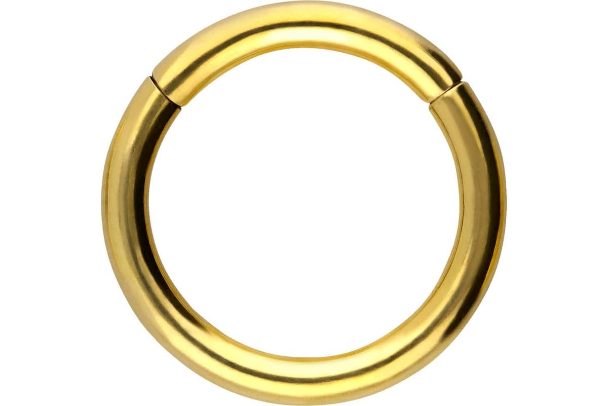 PIERCINGLINE Anillo segmento Clicker de acero quirúrgico – Piercing en oro, plata, rosa, negro o azul – para nariz, tabique, oreja, hélice o tragus — view 144