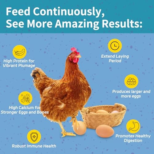 OHNAME 10LB Dried Black Soldier Fly Larvae for Chickens - 85X More Calcium Than Mealworms for Strong Eggshells, High-Protein Chickens Treats for Laying hens, Birds, Ducks — view 3