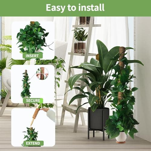 Moss Pole Monstera Plant Support, 5 Pack — view 4