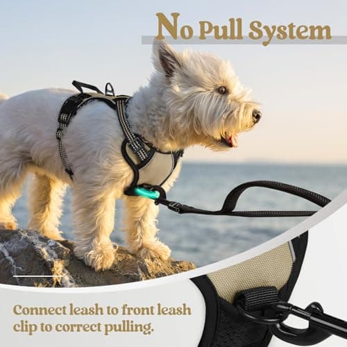 rabbitgoo Dog Harness No Pull with 2 Leash Clips, Adjustable Soft Padded, Reflective Oxford No Choke Pet Vest with Easy Control Handle for Puppy, Beige, XS — view 4