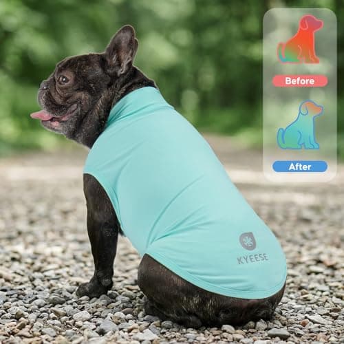 KYEESE 2Pack Dog Cooling Shirt with UPF 50+ UV Protection, Blue, XL