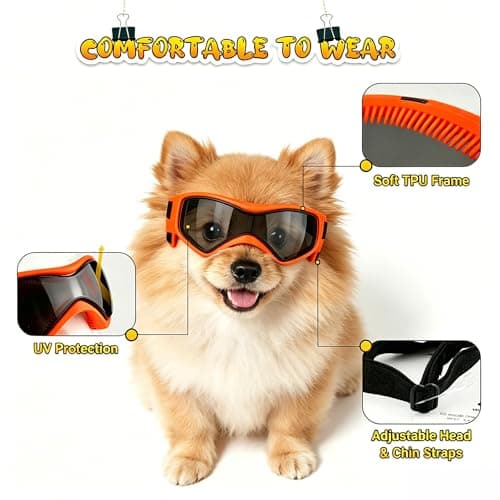 PETLESO Dog Goggles Small Breed, XS Dog Sunglasses Chihuahua Glasses Anti-UV Eyes Protection for XSmall Pets Tiny Dogs Cats, Orange XS — view 2