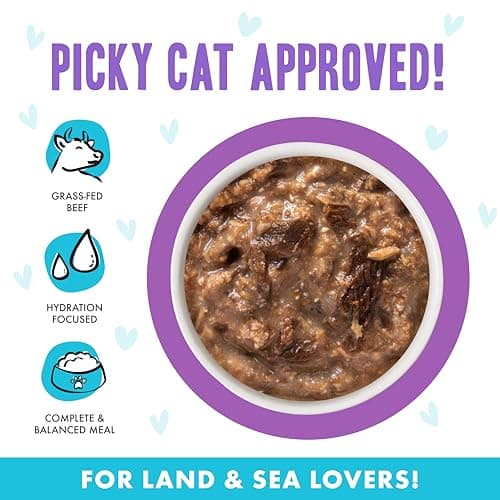 Weruva B.F.F. OMG - Best Feline Friend Oh My Gravy!, Booya! Beef & Chicken in Gravy Cat Food, 2.8oz Pouch (Pack of 12) — view 2