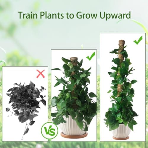 Moss Pole Monstera Plant Support, 5 Pack — view 5