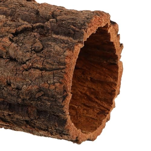 POPETPOP Reptile Hideout Hollow Tree Trunk Log for Tarantula and Reptiles with Natural Wood Material — view 2