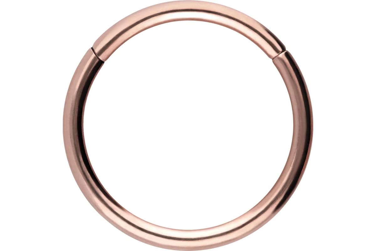 PIERCINGLINE Anillo segmento Clicker de acero quirúrgico – Piercing en oro, plata, rosa, negro o azul – para nariz, tabique, oreja, hélice o tragus — view 108