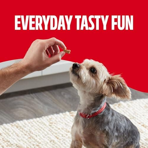 Milk-Bone Soft & Chewy Mini's Dog Training Treats, 18 oz Canister — view 4