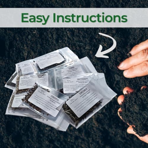 Cut Flower Seeds for Bouquets Canada 10 Flower Varieties Annual and Perennial Mix Bouquet Builder Graines de Fleurs à Couper — view 8