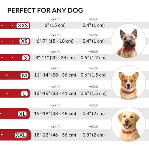 CollarDirect Rolled Leather Dog Collar, Soft Padded Round Puppy Collar, Handmade Genuine Leather Collar Dog Small Large Cat Collars (Red Smooth, 15-18 cm) — view 3