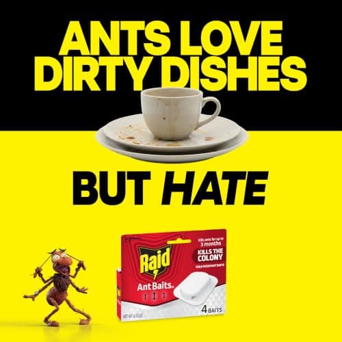 Raid Ant Killer Baits, for Household Use, Kills the Colony, Kills Ants for 3 Months, Child Resistant, 4 Count — view 4