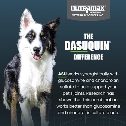 Nutramax Dasuquin for Small to Medium Dogs, Joint Health Supplement, Contains Glucosamine for Dogs, Plus Chondroitin, ASU, MSM and More, Supports Healthy Joints, Soft Chews, 42 Count — view 5