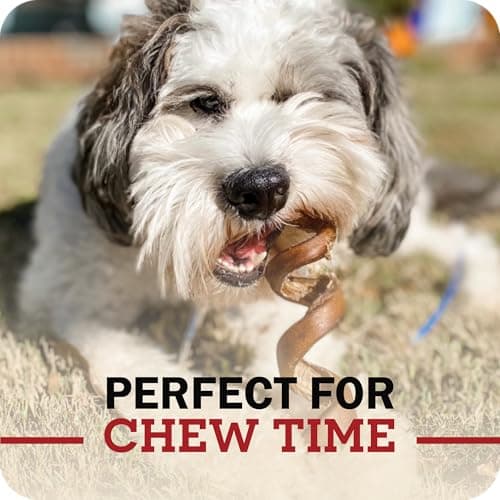 Redbarn Pet Products 12" Braided Bully Sticks for Dogs 2-Count, Pack of 12 — view 6