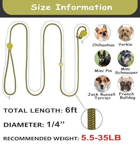 Green 6FT Heavy Duty Dog Training Leash - Comfortable Rope, No Pull, Suitable for Small to Medium Dogs — view 4