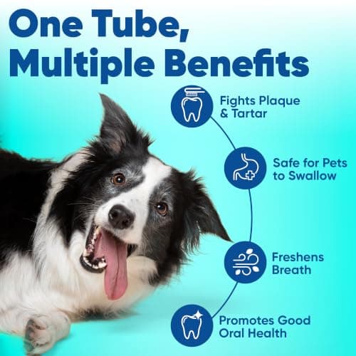 Virbac C.E.T.® Enzymatic Toothpaste| Tartar & Plaque Control for Fresh Breath | Pet Dental Care Toothpaste |Beef Flavor, 2.5 oz — view 2