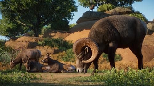 Planet Zoo: America's Animal Pack Standard - PC Steam [Online Game Code] — view 5