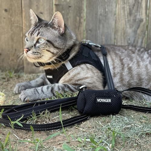 Best Pet Supplies Voyager Step-in Air Harness - All Weather Mesh, Reflective, No Pull Harness for Dogs, Cats - Secure with Hook & Loop Fastener, Buckle, Double D-Rings - Black, S — view 8