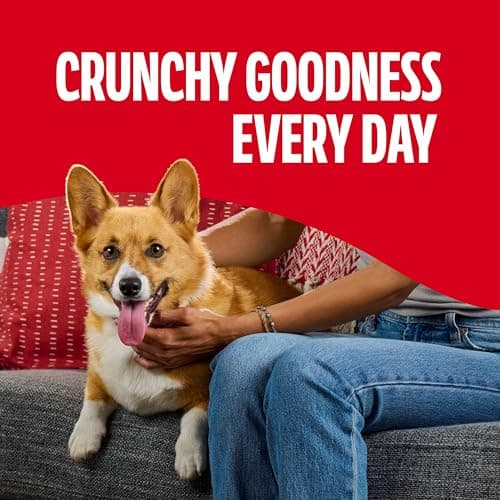 Milk-Bone Flavor Snacks Mini’s Dog Biscuits, Flavored Crunchy Dog Treats, 36 Oz. Canister — view 4