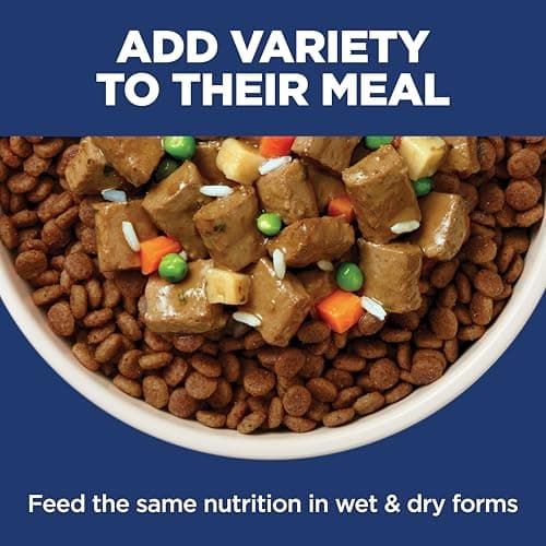 Hill's Science Diet Adult Sensitive Stomach & Skin Small & Mini Dry Dog Food, Chicken, 4 lb. Bag (Updated Formula) — view 10