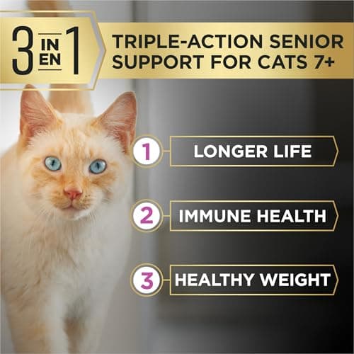 Purina Pro Plan AdvantEDGE Dry Cat Food, Senior Support+ Chicken & Rice Formula - 1.36 kg Bag (1 Pack) — view 3