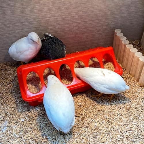 Glaciarts Chick Feeder and Waterer Kit – Chick Starter Kit with 3×12-Hole Feeders & 1 Waterer – Essential Supplies and Accessories for Coop, Brooder, Ducklings, Poultry (Red) — view 4