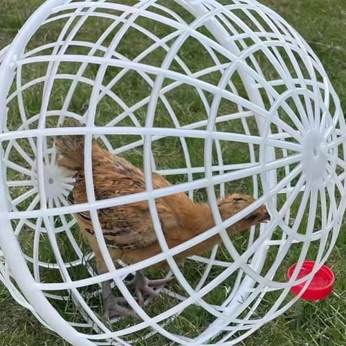 3PCS Ball Shaped Movable Chicken Coop Chicken Balls, Movable Chickens Ball Cage Coop Balls, Poultry Care Supplies, Small Animal House Habitat, for PigeonRabbit Duck Vegetable Protection — view 5