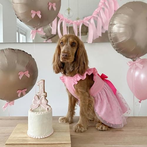 Dog Straps Holiday Dress (S (Back: 12.2",Chest: 14-16", 6.5-12lbs), Birthday Princess) — view 2