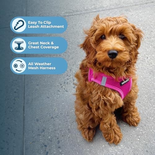 Best Pet Supplies Voyager Step-in Air Harness - All Weather Mesh, Reflective, No Pull Harness for Dogs, Cats - Secure with Hook & Loop Fastener, Buckle, Double D-Rings - Fuchsia, S — view 2