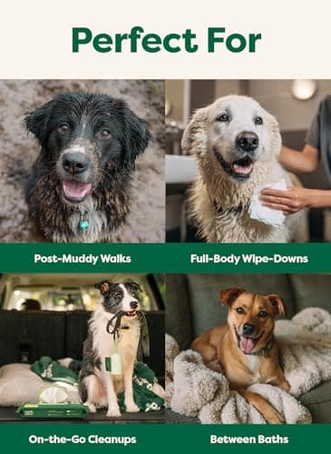 earth rated XL Pet Wipes for Dogs & Cats, Unscented Hypoallergenic, 60 Ct — view 5