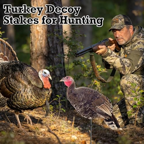 SHILIU 4pcs Turkey Decoy Hunting Stakes, Lightweight Collapsible Turkey Decoys Replacement Stake Fiberglass Portable Decoy Poles for Outdoor LCD Turkey Decoys Hunting Accessories — view 6