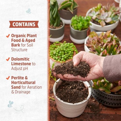 Back to the Roots 100% Organic Succulent & Cacti Mix (6 Quart) | Made in the USA | Premium Nutrition for Indoor and Outdoor Plants — view 3