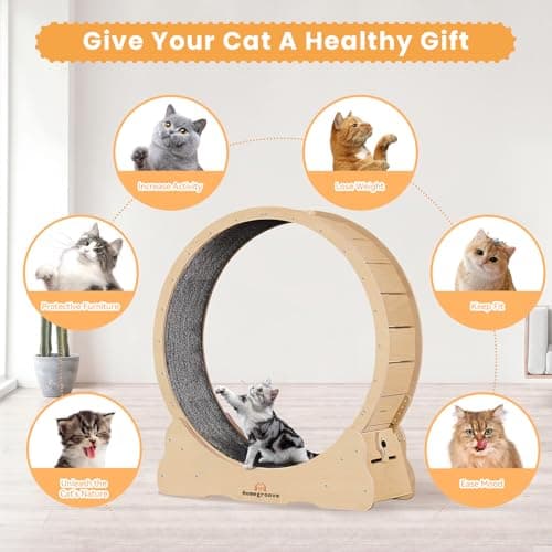 Homegroove Cat Wheel Treadmill, 46" XL Large Cat Exercise Running Wheel with Carpeted Runway, Fitness Weight Loss Device for Kitty’s Longer Life, Natural Wood Color(XL) — view 5