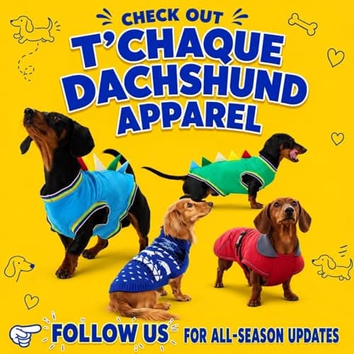 Classic Star Design Dachshund Pajamas for Dogs, Perfect Stretch Stitching Dog Pajamas Dachshund Clothes, Dog Onesie for Weiner Dog, Dog Pjs & Surgical Costumes Suit for Mini Weenie, S — view 8