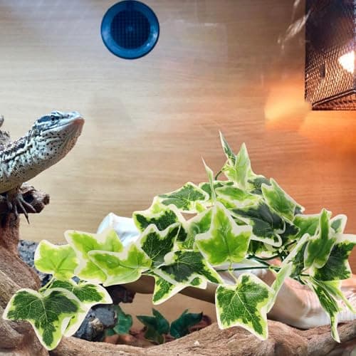 DOITOOL Artificial Fake Plant Reptile for Hanging with Decor Tank Easy Suction Cup, Plastic Leaves — view 5