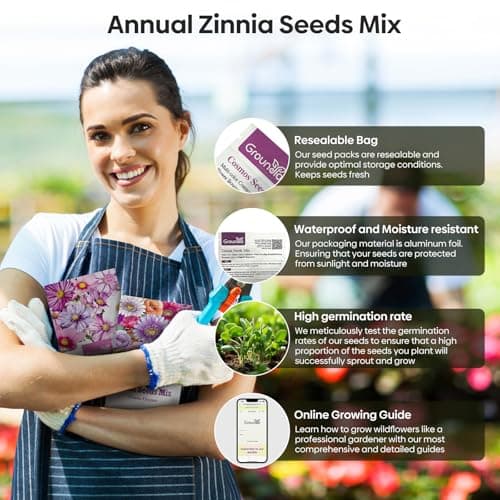Groundio Zinnia Seeds Mix, 1 Oz, Over 3,000 Flowers Seeds, 5 Varieties (Pink, Yellow, Orange, White, Purple), Mixed Colors and Large Blooms,Open Pollinated - Bulk — view 4