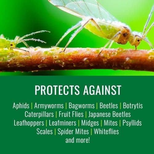 Natria Neem Oil Spray for Gardening - Ready-to-Use - Pest Control & Disease Control - Use for Houseplants and Home Gardens - 24 oz Bottle