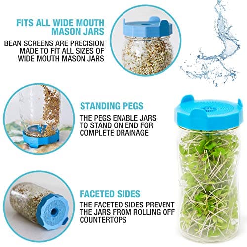 Masontops Bean Screen Sprouts Growing Kit - Sprouting Lids & Sprout Mixes Microgreens Growing Kit - Sprouting Kit Wide Mouth Mason Jar Strainer Lid — view 2