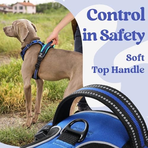 rabbitgoo Dog Harnesses for Large Dogs, No Pull Pet Harness with 3 Buckles, Adjustable Soft Padded Vest with Instant Control Handle, Easy Walking Reflective Pet Vest, Blue, L — view 4