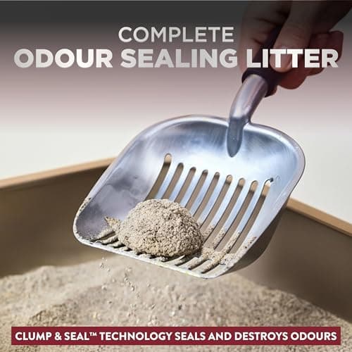 ARM & HAMMER Platinum Cat Litter Clump & Seal Complete Odour Sealing with 14 Days of Odour Control Multi-Cat, Hard Clumping Clay, 99.99% Dust Free 8.16kg (Pack of 1) — view 3