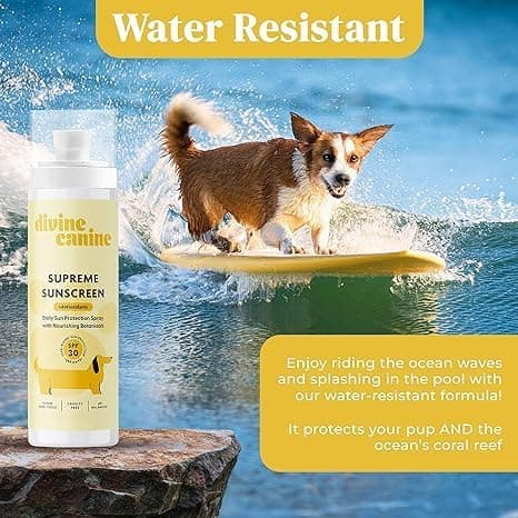 Divine Canine Dog Sunscreen Spray - SPF 30 UV Water Resistant - 2 Fl Oz — view 4